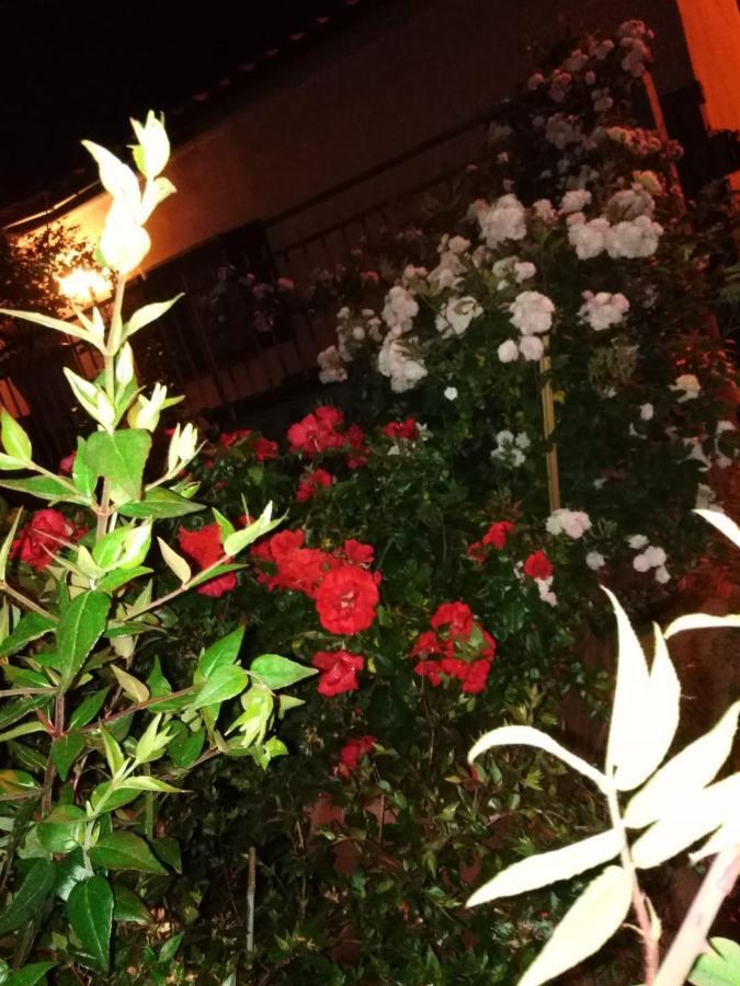 La Fenice Montefiascone Exterior photo