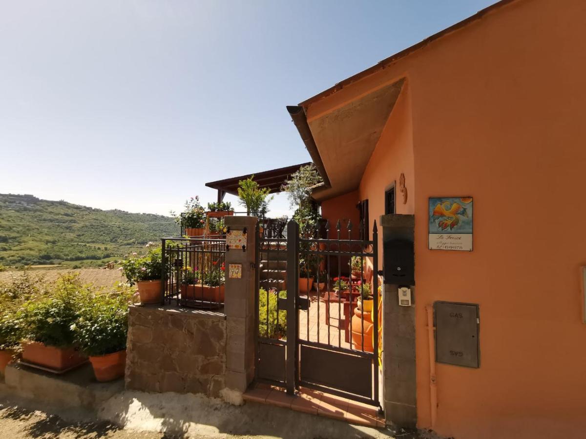 La Fenice Montefiascone Exterior photo